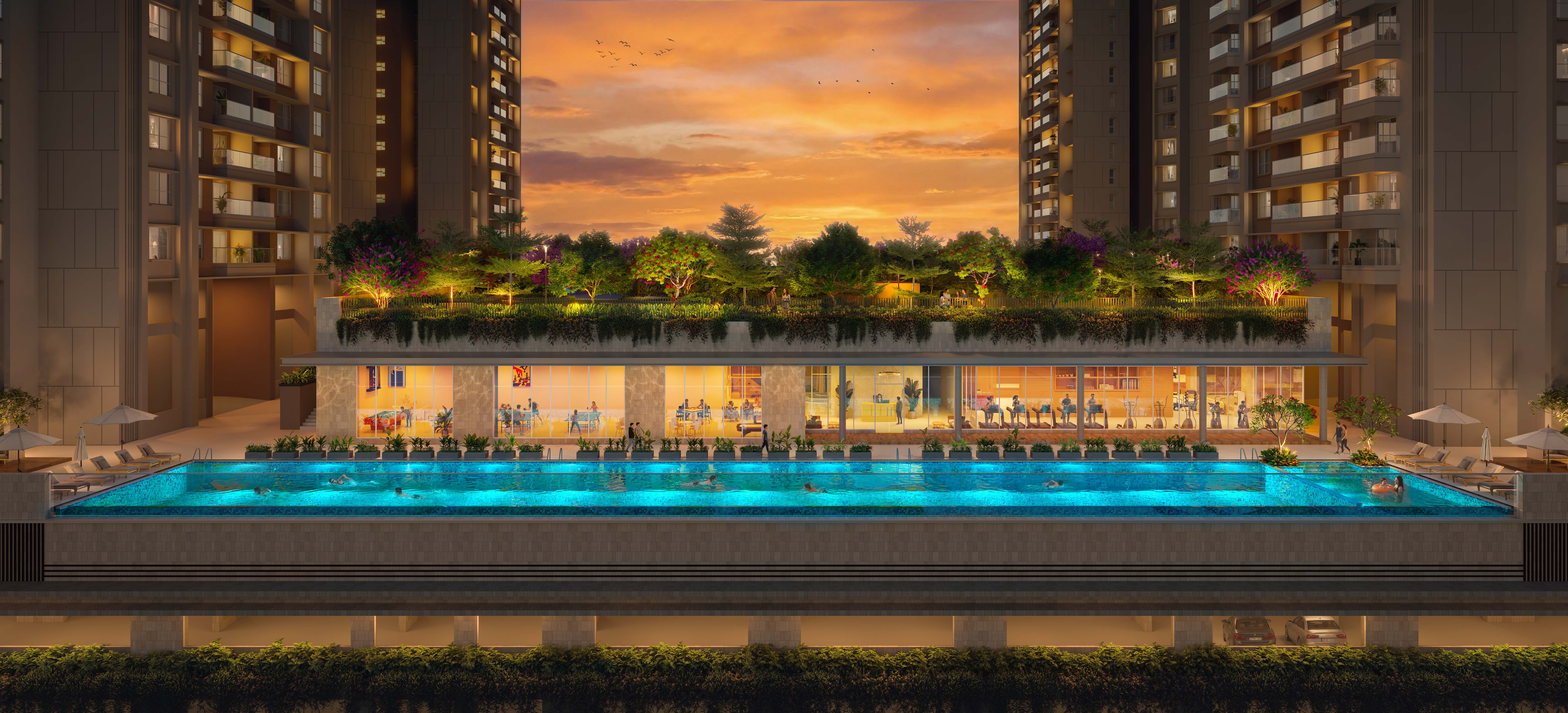 Project View